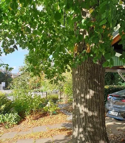 Ferienwohnung-ulinde Lejlighed